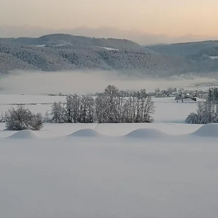 Hochsalerblick 아파트 *